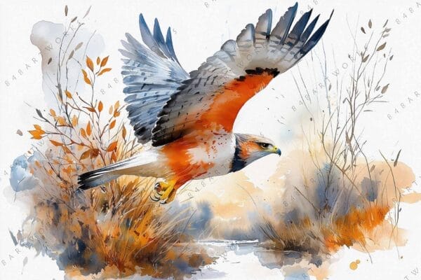 "Watercolor painting of a hawk in flight with blue and orange foliage background."